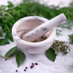 Naturopathic Medicine Cover Photo